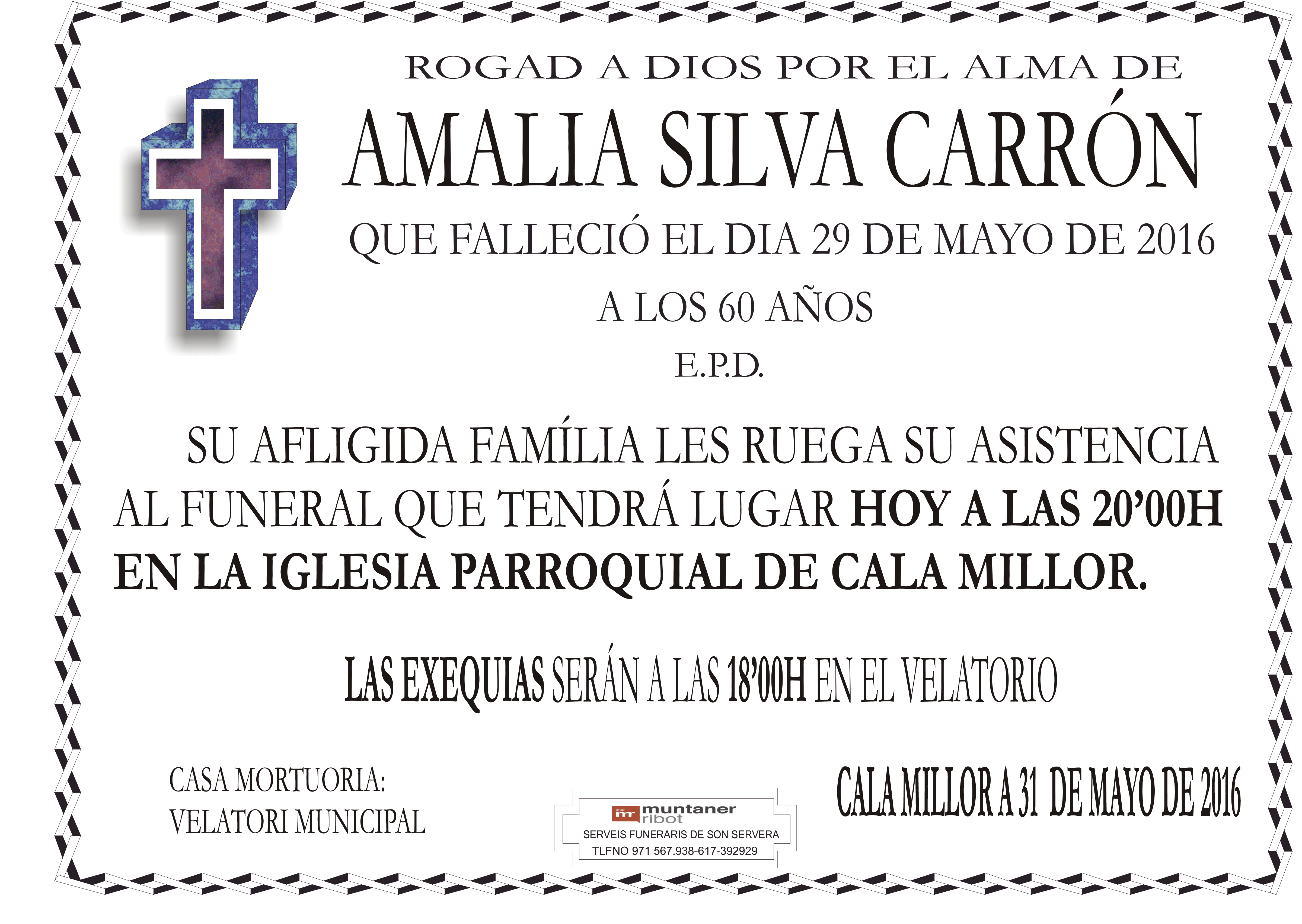 AMALIA-2