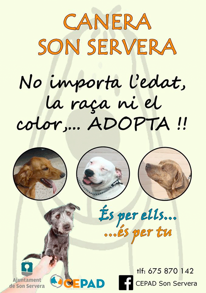 canera